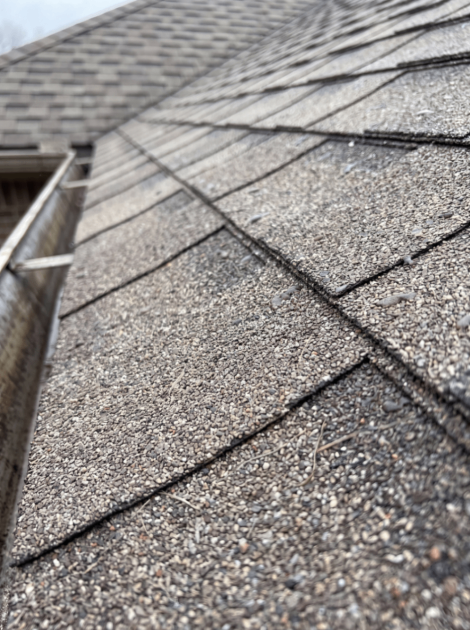Shingles service by World's Best Roofing